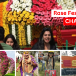 Chandigarh rose festivals 2023