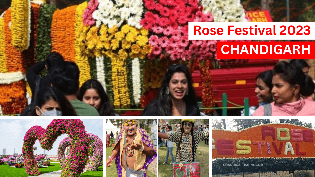 Chandigarh rose festivals 2023