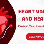 Heart Valves and Health: Understanding Their Essential Role in Life