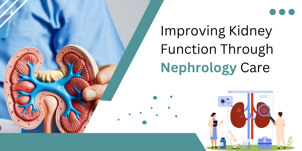 Nephrology and Kidney Function